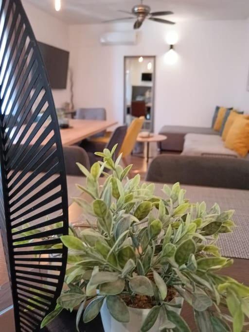 Holiday&Suite Klanac Вир Екстер'єр фото